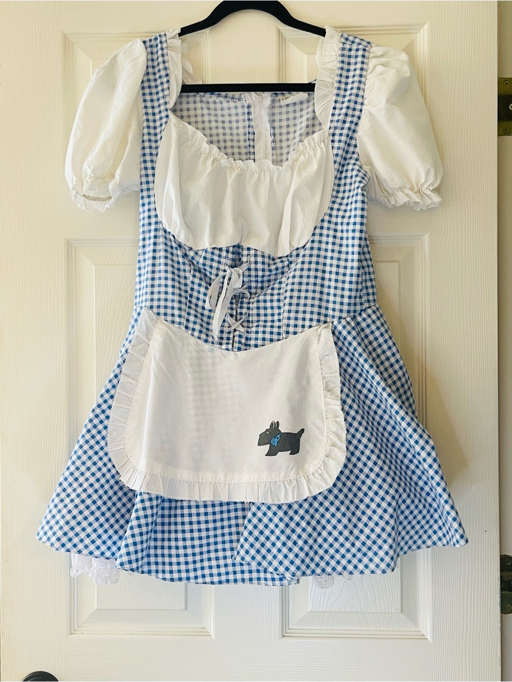 California Costumes Blue and White Gingham Peasant Dress with Apron